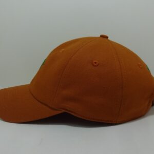 baseball caps (143)
